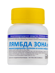 «Лямбда Зона»